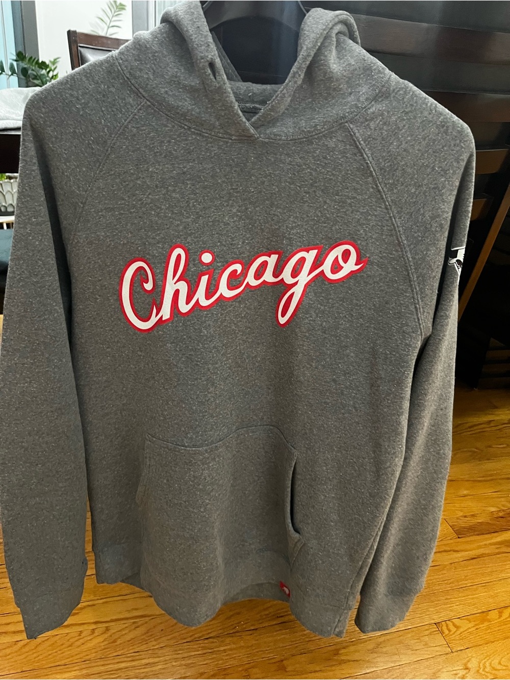 Chicago Bulls Pullover Hoodie - Gray